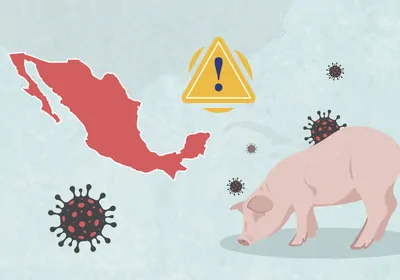 An illustration with a world map, pigs, and viruses An illustration with a world map, pigs, and viruses